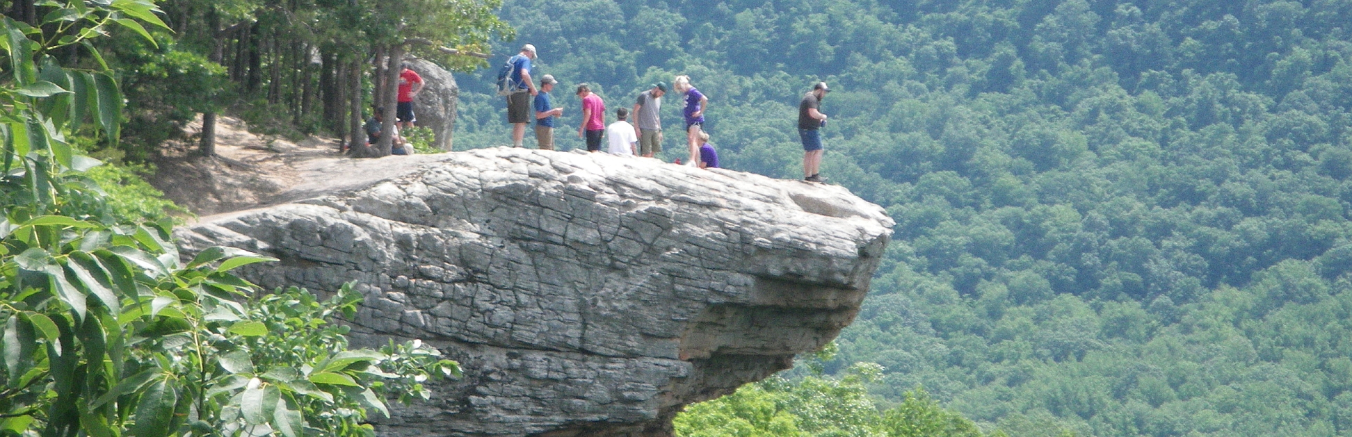 Biology hiking