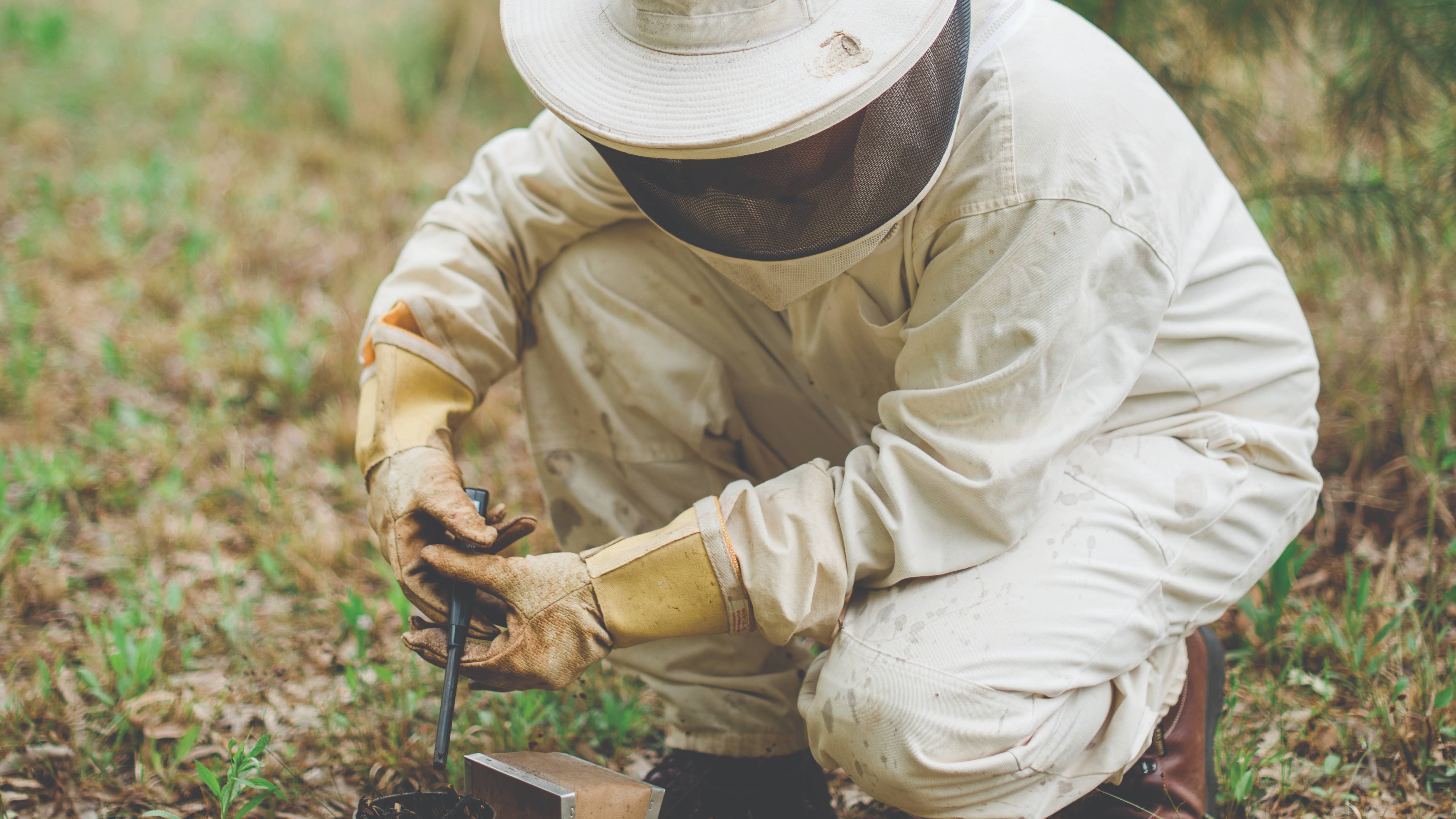 Beekeeper